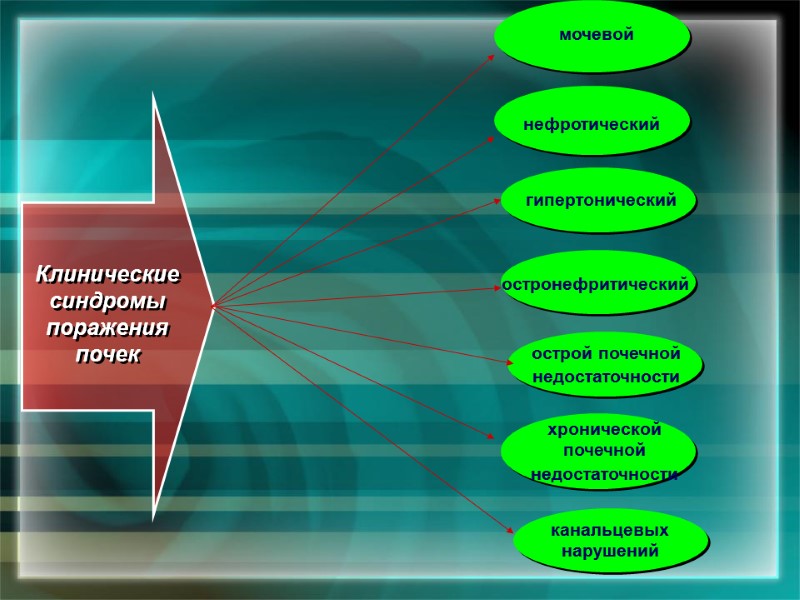 Клинические синдромы поражения почек   мочевой  нефротический  гипертонический  остронефритический 